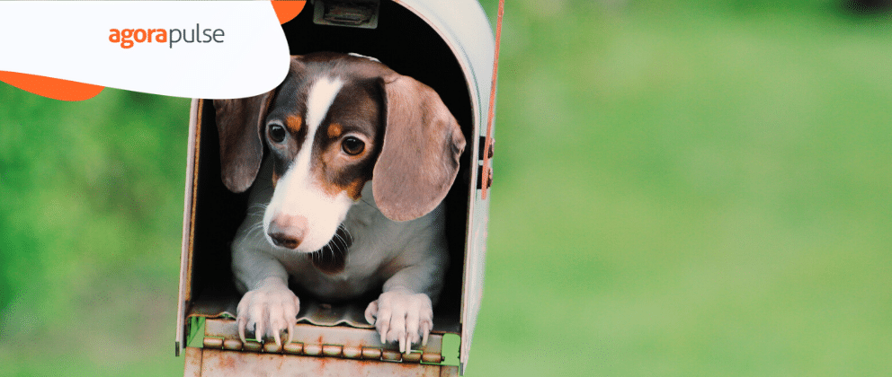20 Social Media Post Types That Perform Well In 2020